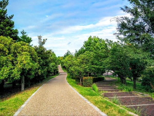 芦屋市涼風町の中古一戸建て(陽光緑地)