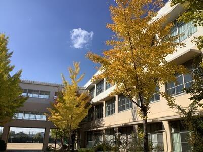 芦屋市涼風町の中古一戸建て(芦屋市立潮見中学校)