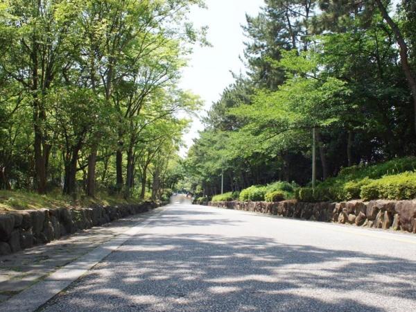 ジオ緑地公園五番館(服部緑地)