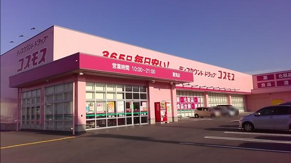 ザ・グランドグレイス大阪西九条(ディスカウントドラッグコスモス高見店)