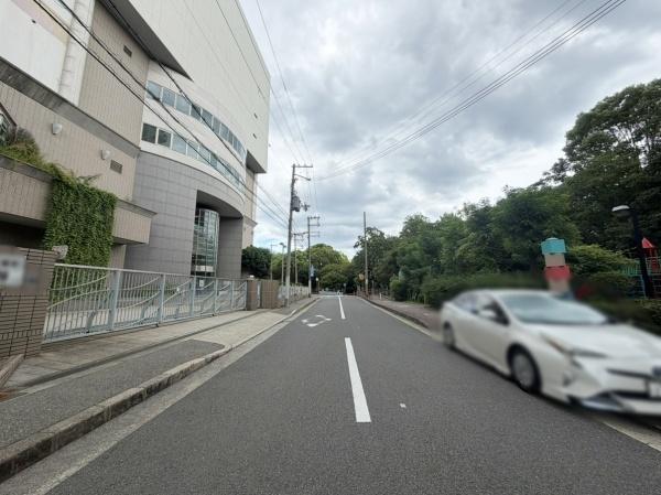 レックスシティアルベール