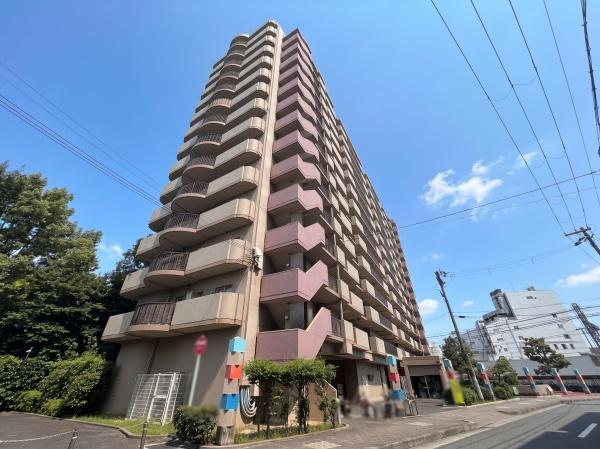 レックスシティアルベール