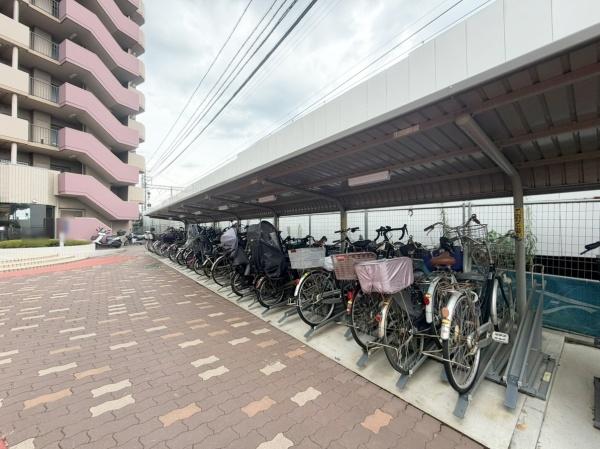 レックスシティアルベール