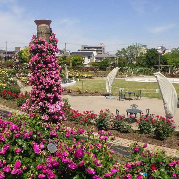摂津市鳥飼新町２丁目の中古一戸建て(若園公園)