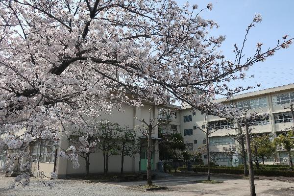 摂津市鳥飼新町２丁目の中古一戸建て(摂津市立第五中学校)