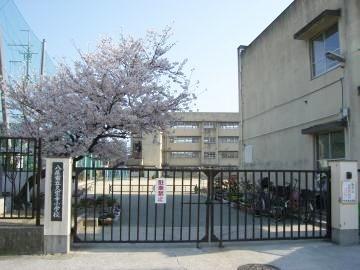 シャルム久宝寺緑地(八尾市立久宝寺小学校)