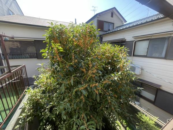尼崎市大庄北３丁目の中古一戸建て