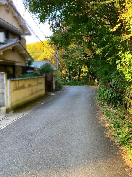 京都市左京区北白川丸山町の土地