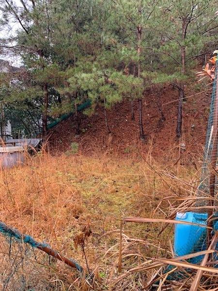 京都市左京区銀閣寺前町の土地(その他現地)