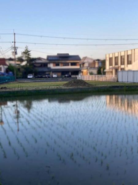 甲賀市甲南町新治の土地
