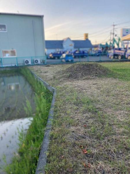 甲賀市甲南町新治の土地