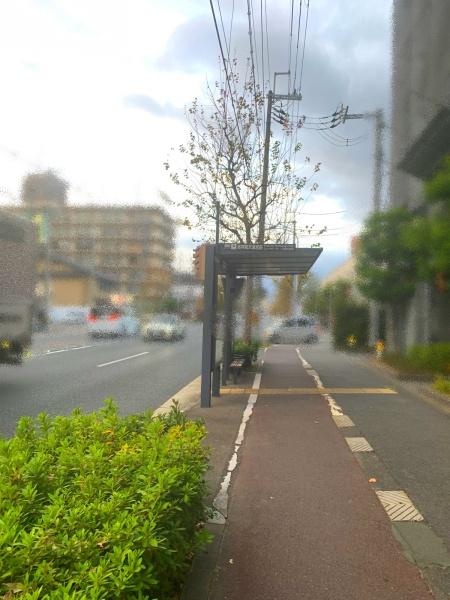 デルフィ西大路