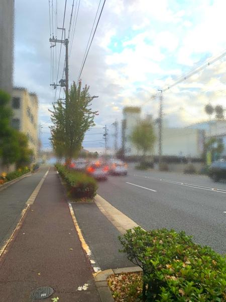 デルフィ西大路