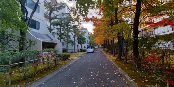 東大路高野第3住宅35号棟