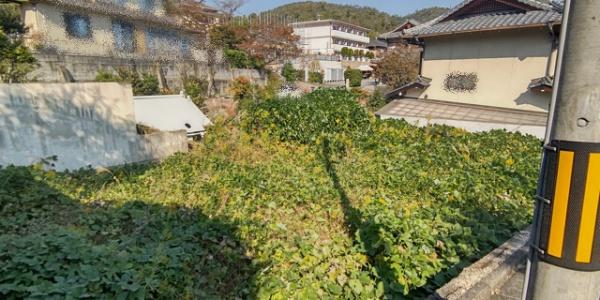 京都市北区衣笠赤阪町の土地