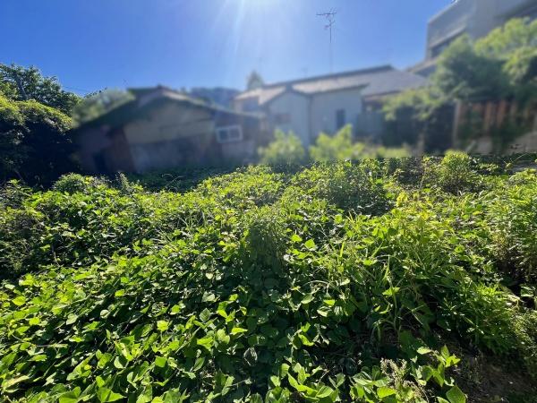 京都市右京区嵯峨柳田町の土地
