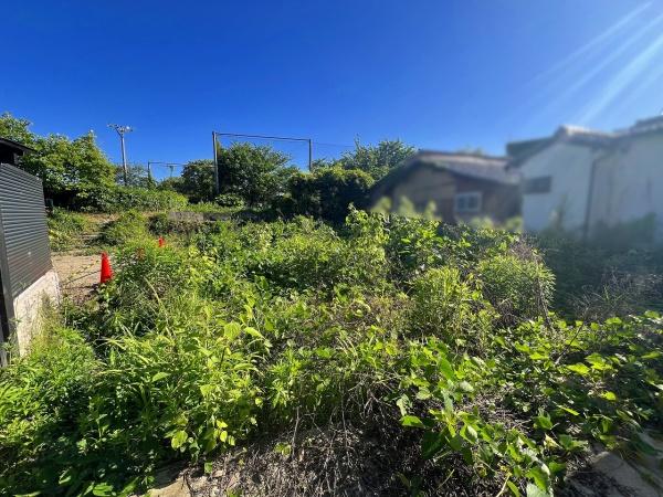 京都市右京区嵯峨柳田町の土地