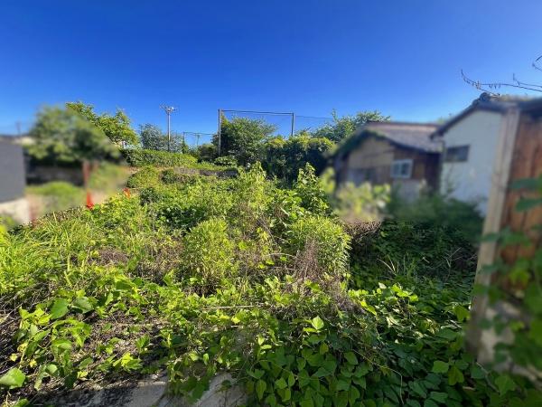 京都市右京区嵯峨柳田町の土地
