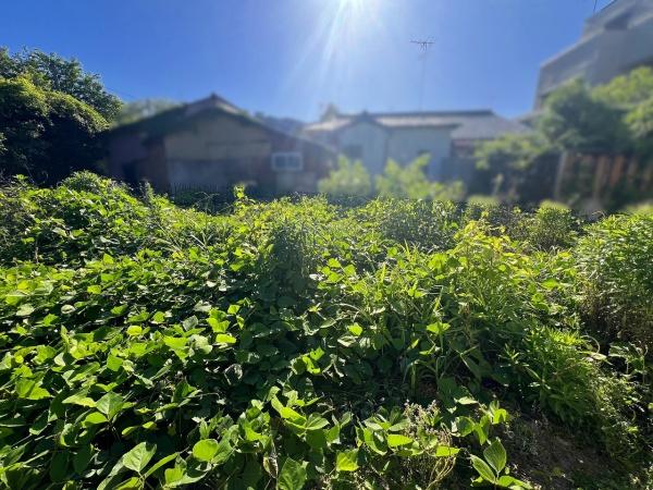 京都市右京区嵯峨柳田町の土地
