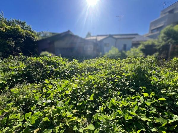 京都市右京区嵯峨柳田町の土地