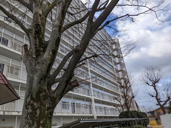 桂川ハイツ4号棟