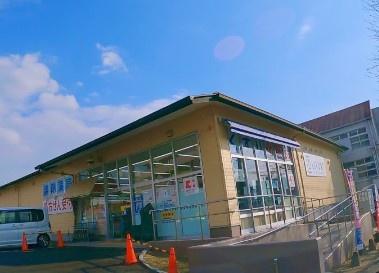 京都市西京区大枝東長町の土地(ドラッグストアライフォート洛西店)