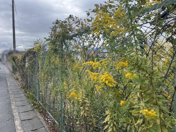 京都市西京区大枝東長町の土地