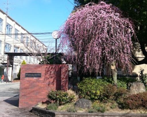 京都市西京区嵐山茶尻町の中古一戸建て(京都市立嵐山東小学校)