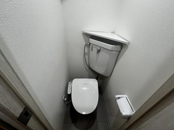 ワールドダック