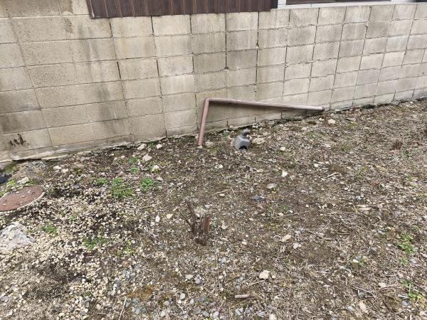 京都市山科区栗栖野打越町の土地