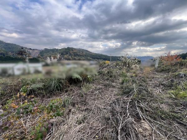京都市右京区京北周山町太年　建築条件無売土地