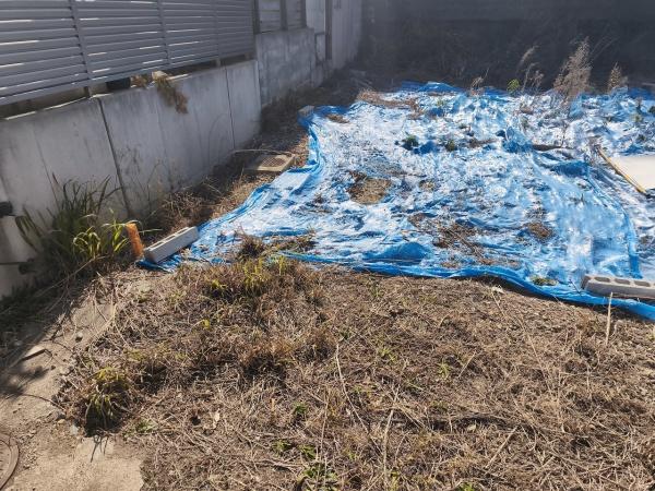 京都市伏見区桃山筒井伊賀西町の土地