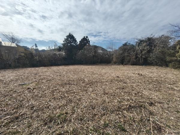 賀茂郡南伊豆町下賀茂の土地