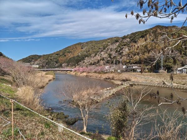 賀茂郡南伊豆町下賀茂の土地