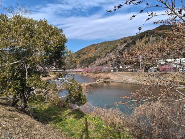 賀茂郡南伊豆町下賀茂の土地