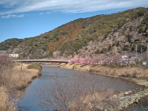 賀茂郡南伊豆町下賀茂の土地