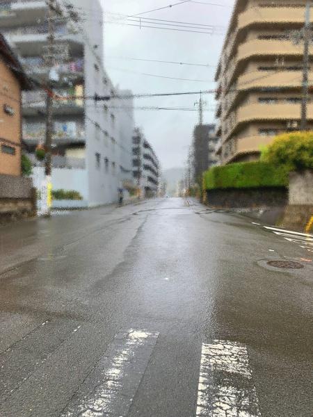 ライオンズマンション京都衣笠