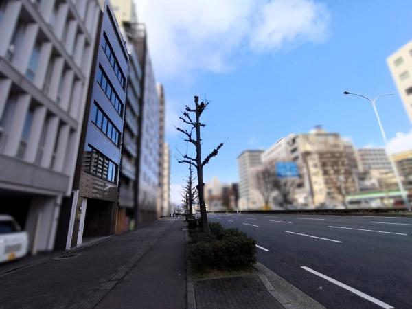 京都市下京区綾堀川町の中古一戸建て