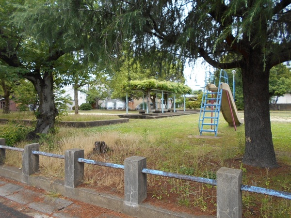 桂川ハイツ3号館(久世橋東詰公園)