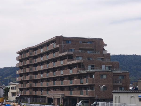 パデシオン山科東野