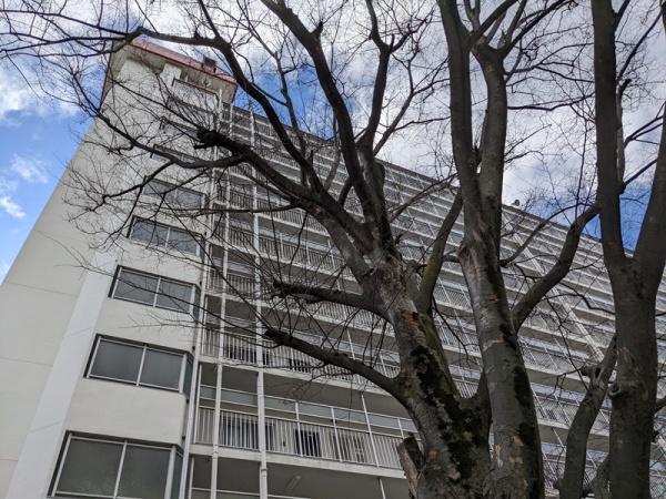 桂川ハイツ4号棟