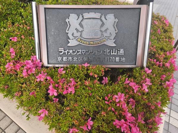 ライオンズマンション北山通