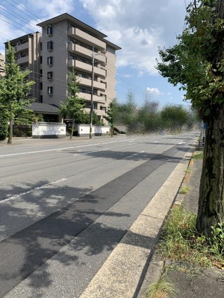 パーク・ハイム宝ヶ池銀杏館