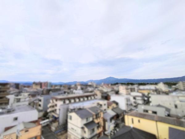 グレーシィ一条