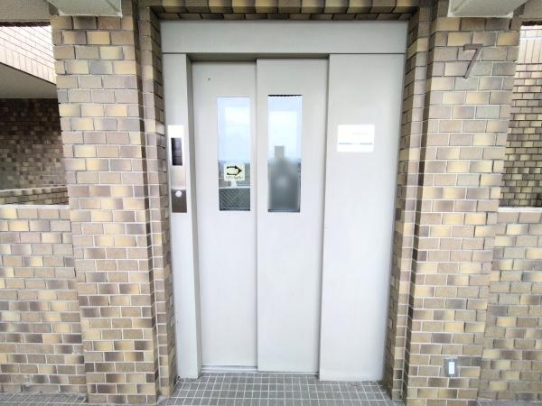 グレーシィ一条