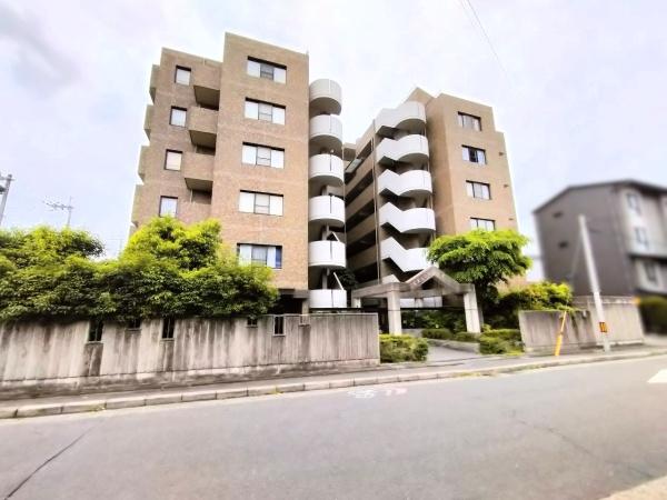 グレーシィ一条