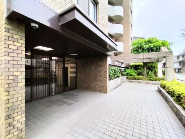 グレーシィ一条