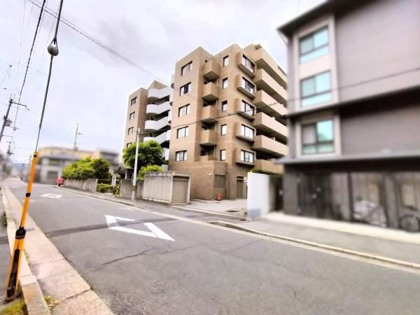 グレーシィ一条