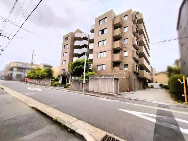 グレーシィ一条