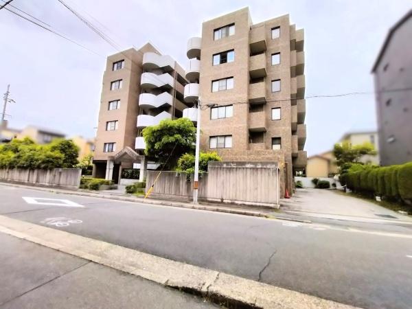 グレーシィ一条